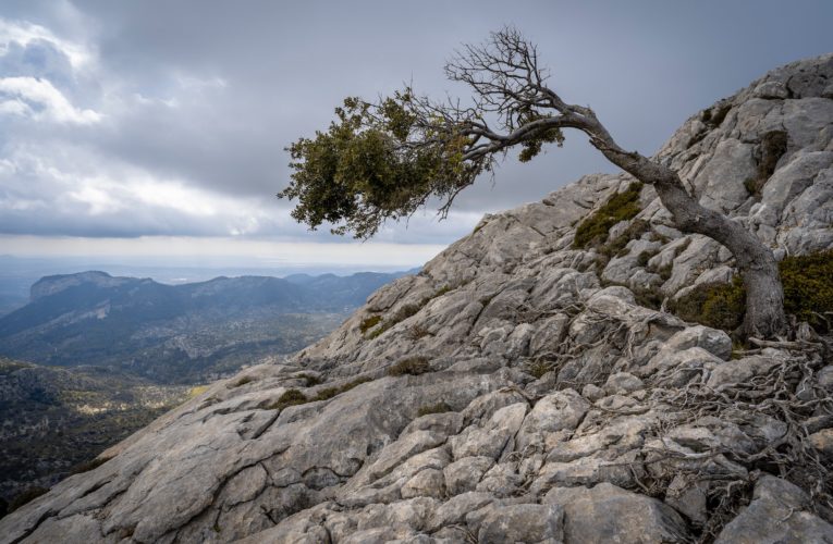 Barcelona: The Importance of Resilience in Overcoming Trauma
